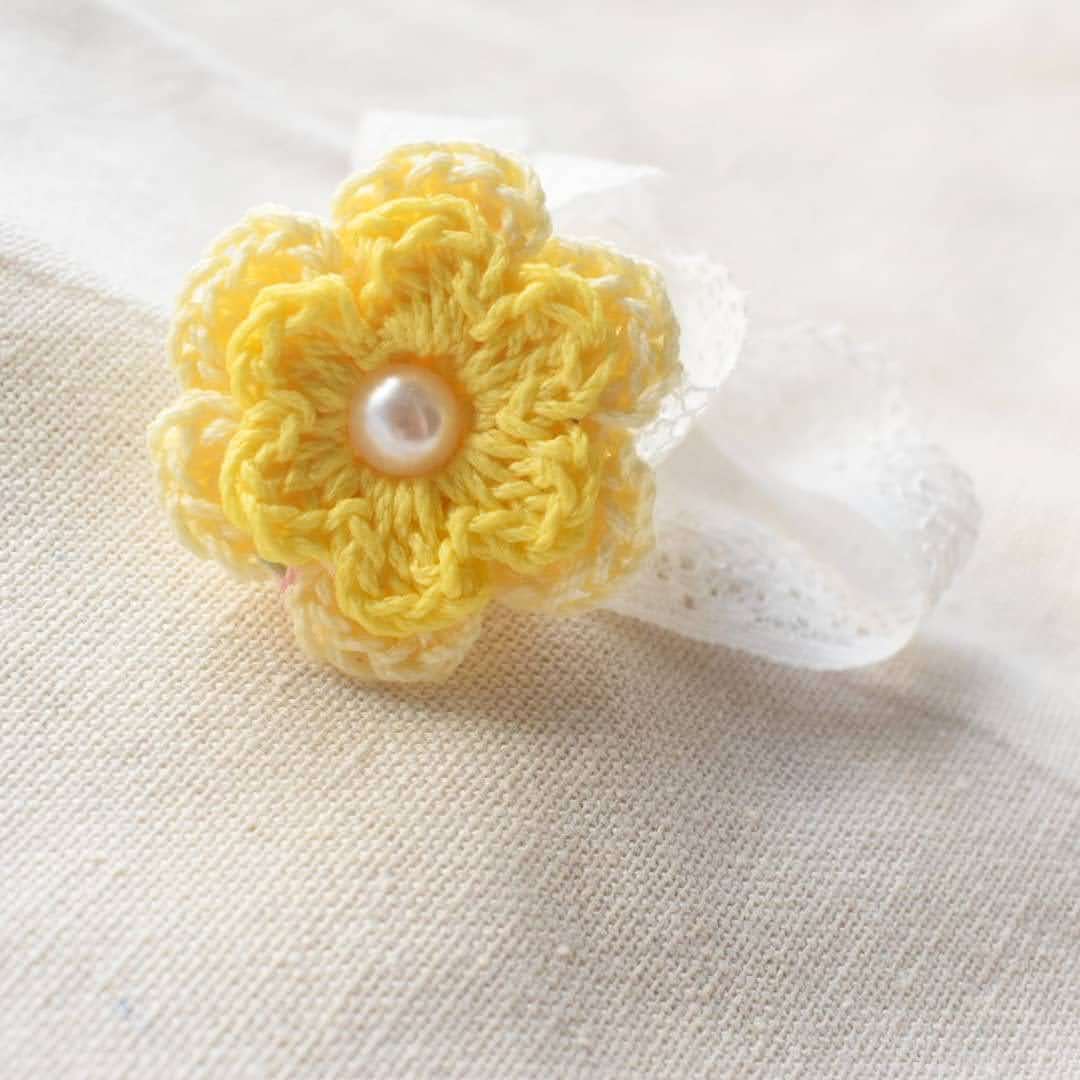 Yellow mini rose